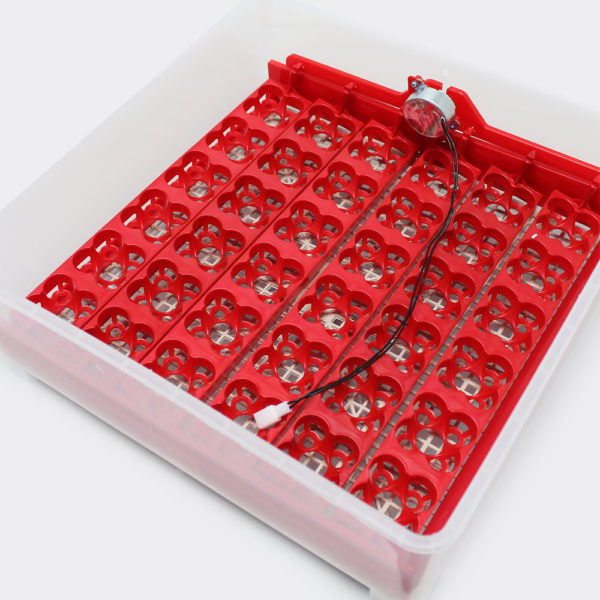 Plně automatický Inkubátor líheň na 36/144 vajec WQ-36