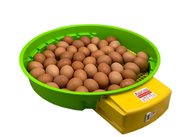 264-6_puisor-io204-automatic-4