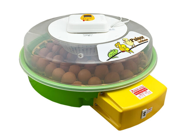 264_puisor-io204-automatic-1