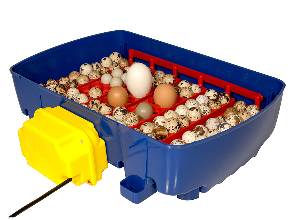 Automatická líheň na vejce BOROTTO REAL 24 AUTOMATIC - Obrázek 2