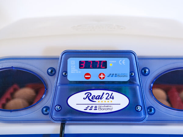 390-13_real-24-automatic-obr4