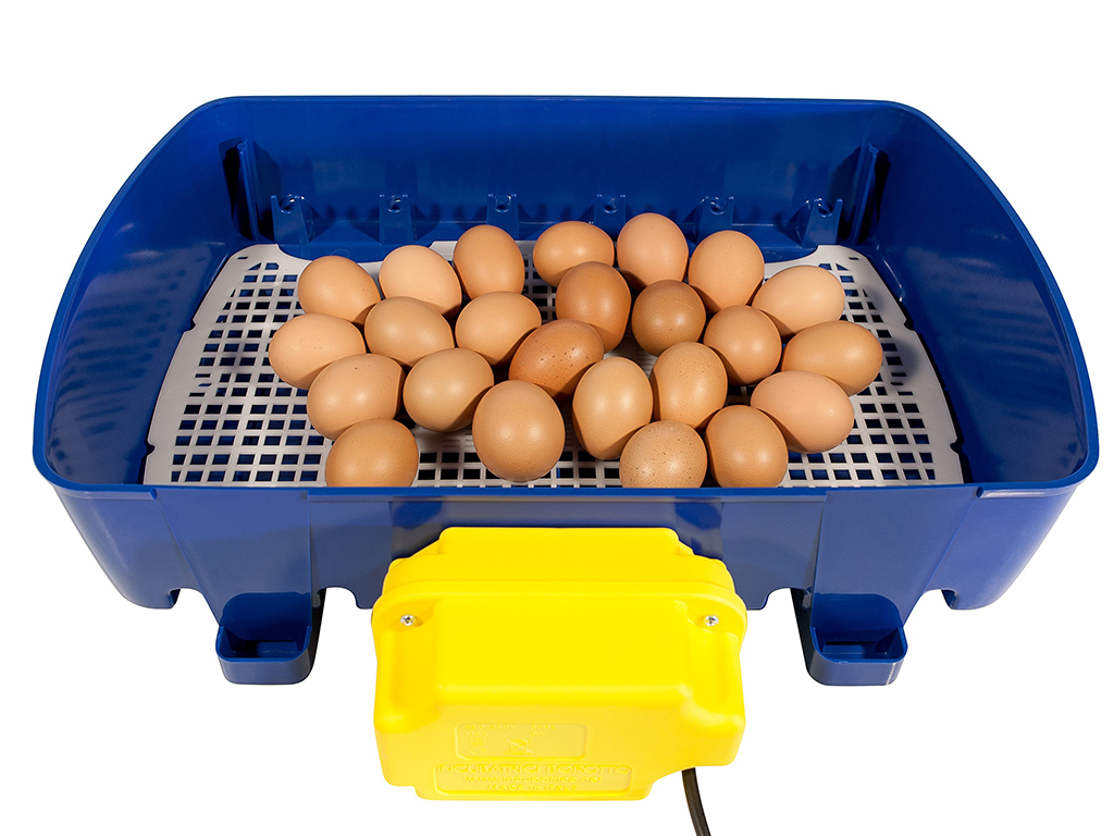 Automatická líheň na vejce BOROTTO REAL 24 AUTOMATIC - Obrázek 9