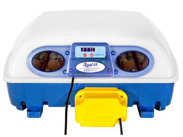 396-10_real-49-automatic-obr1