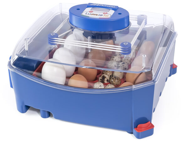 399-9_lumia-16-automatic-obr1