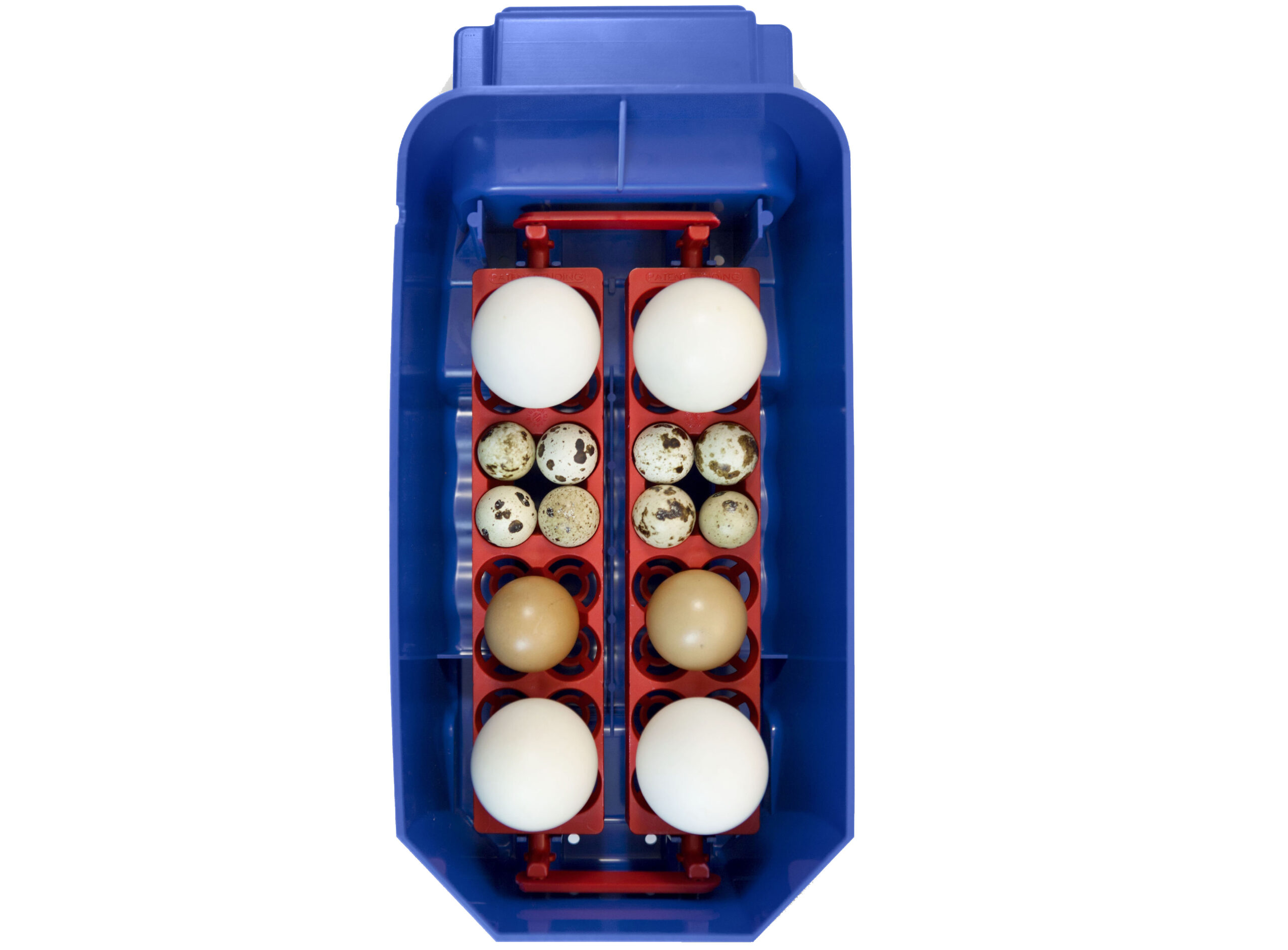 Automatická líheň na vejce BOROTTO LUMIA 8 AUTOMATIC - Obrázek 2