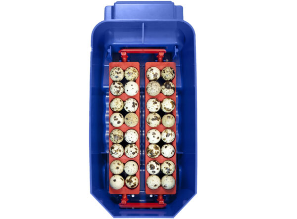 402-12_lumia-8-automatic-obr4