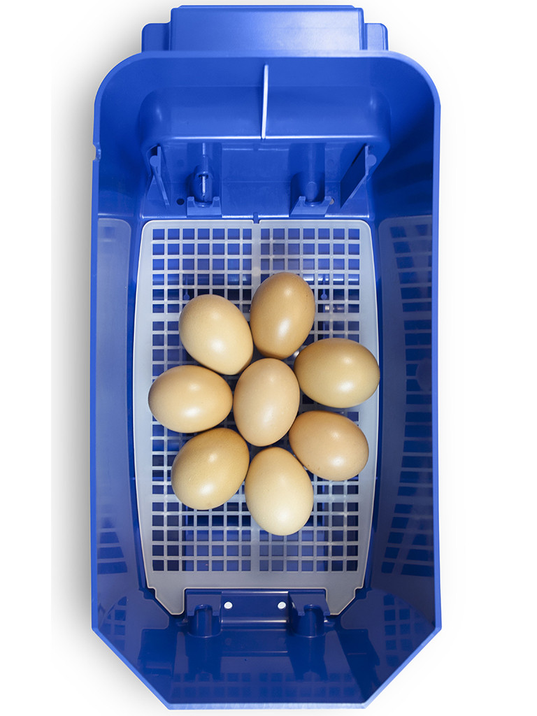 Automatická líheň na vejce BOROTTO LUMIA 8 AUTOMATIC - Obrázek 6