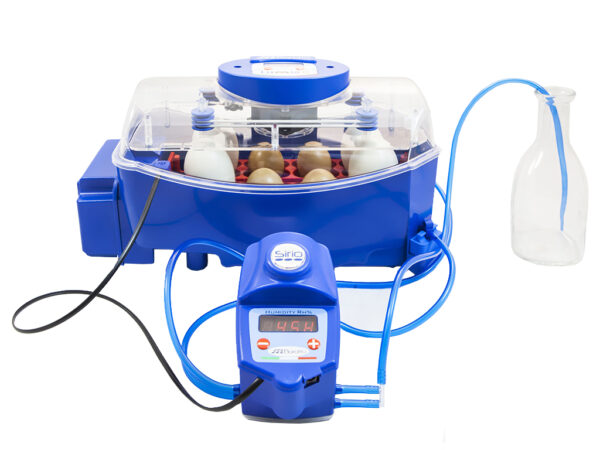 408-17_automaticka-lihen-na-vejce-lumia-8-expert-o1