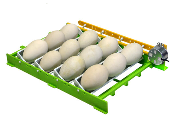 681-3_liska-na-husi-vejce-cimuka-gt03-obr2