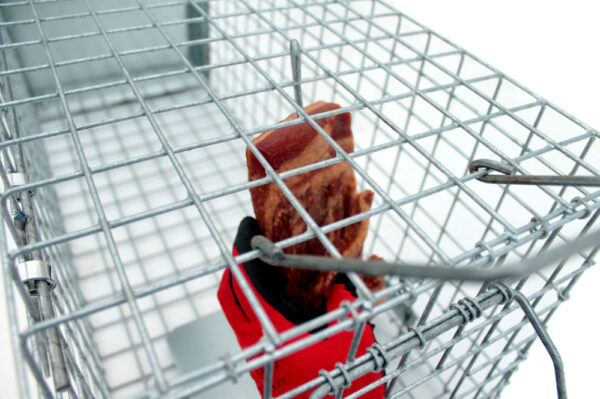 90-12_profesionalni-past-na-skodnou-zver-lisky-kuny-psy-vydry-a-bobry-zl102x34x34-velice-odolny-jednostranny-sklopec-se-zaklopkou-5