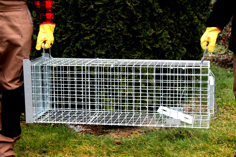 Profesionální past na lišky, kuny a kočky TRAP ST102x34x34 - Obrázek 6