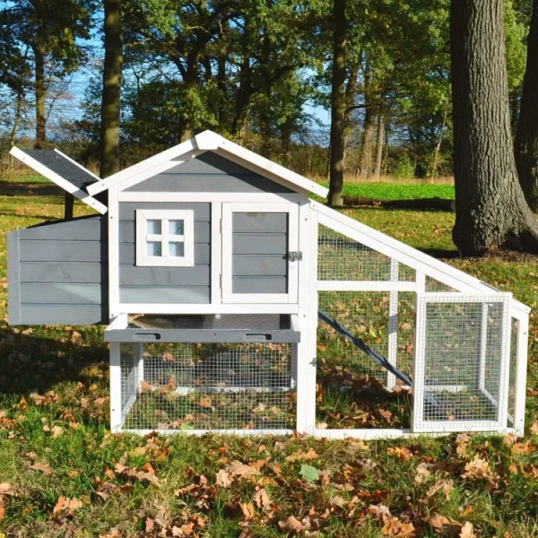 2-750x750 (3) Dřevěný kurník Lisabon s výběhem pro 6 slepic