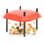 Umělá kvočna - výhřevná deska 25x25 13W pro 15-20 kuřat