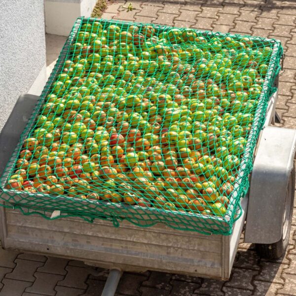 17a444e7bf9a4e4e81eddff263353311_800x800