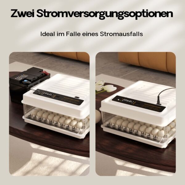 0979d04751f640129f210f1900695897_1920x1920