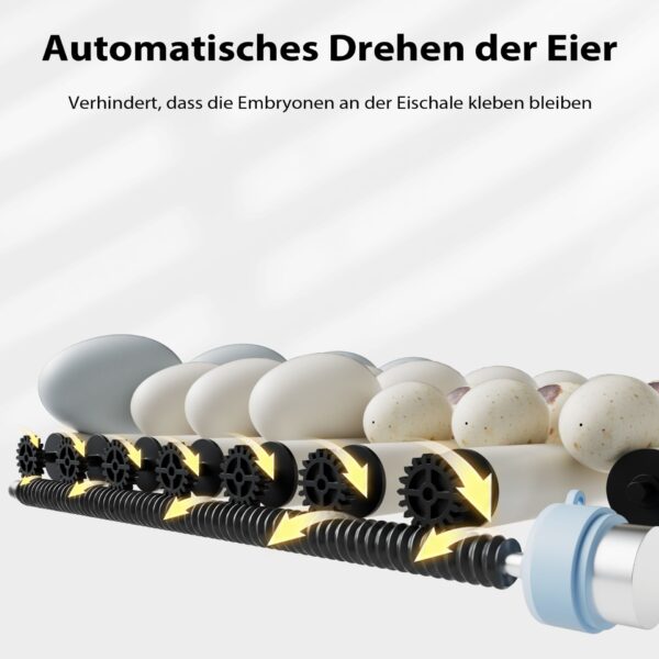 166bd07b4ae54f1a817fef713f494739_1920x1920