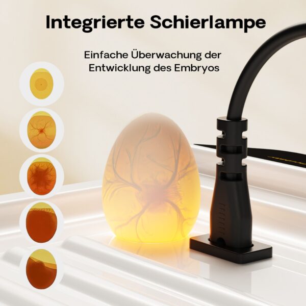 4609ae63e3184b10900e25e92e03f5f2_1920x1920