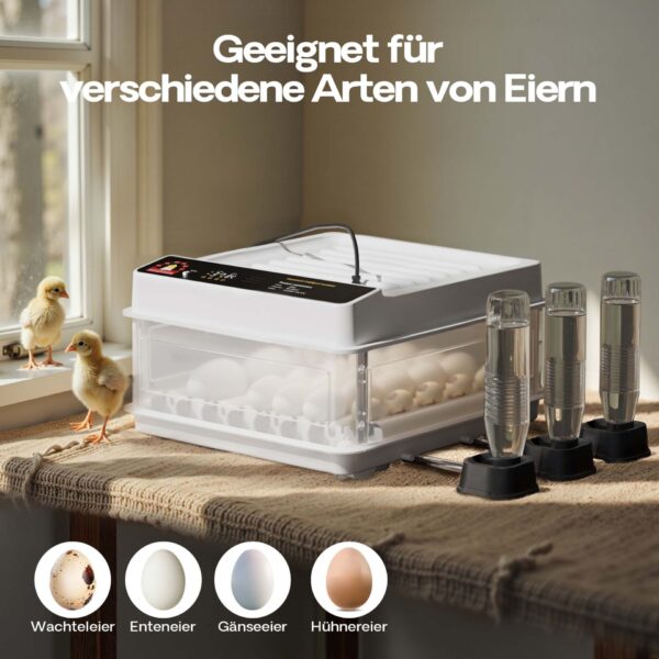 66b8d6781b3c40c897f79e2772fe9457_1920x1920