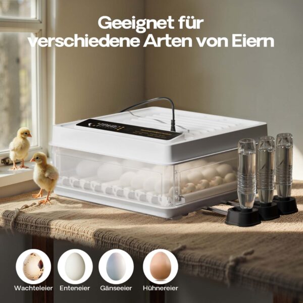 7351aeeef2c94e888249fde384049df4_1920x1920