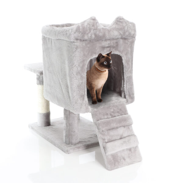 8da23a8ab77744dab014cc868b537423