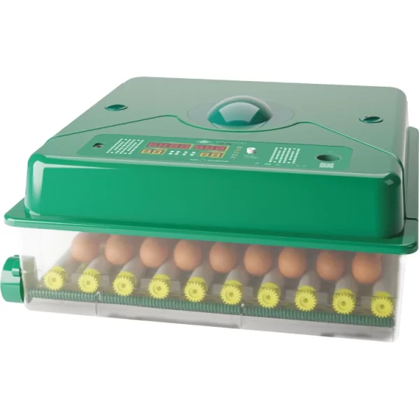 Bez-názvu-1-750x750