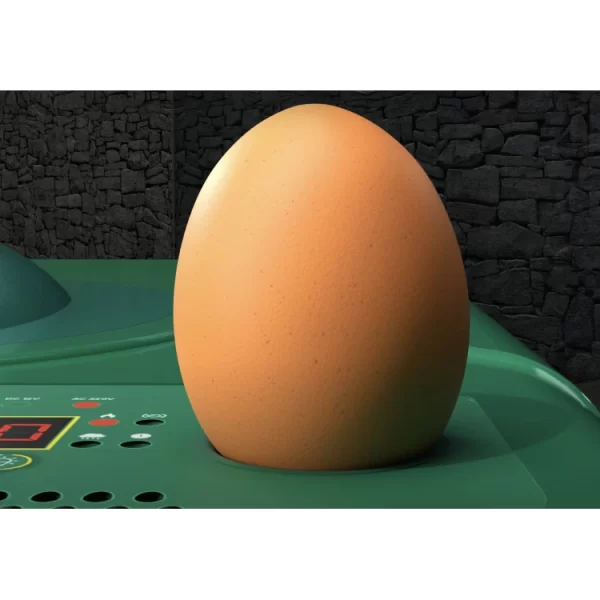 Bez-názvu-9-750x750