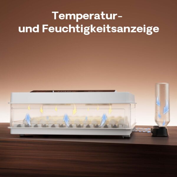 b3b238fec06e43bdb7f2cc8acb96dc8a_1920x1920