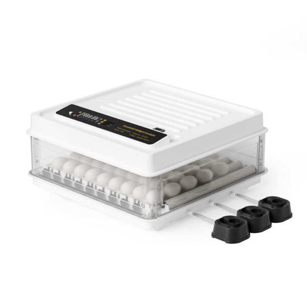 d5bf7364581d4824bce1e8599594a79c