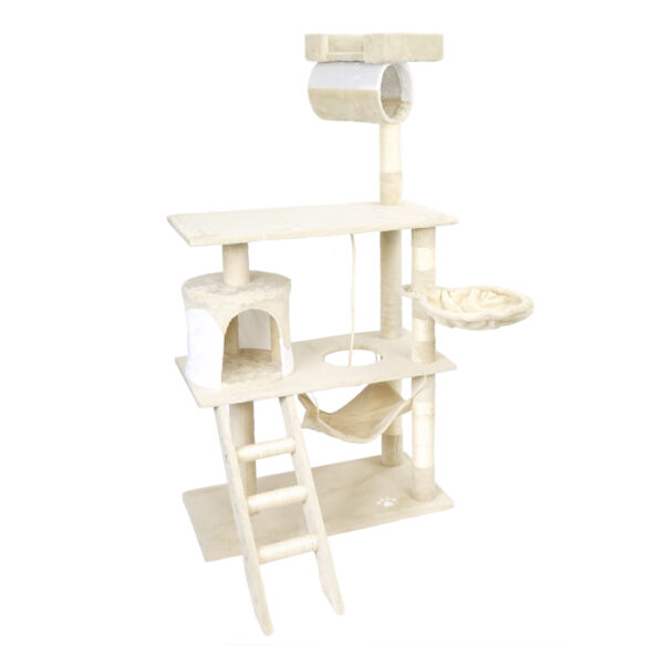 d60dceac47a34b0aafd156bbc895d0d9