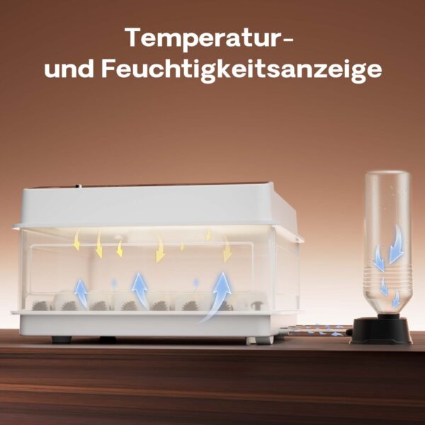 d702261c7d5a48818bde0bdc9b53c635_1920x1920