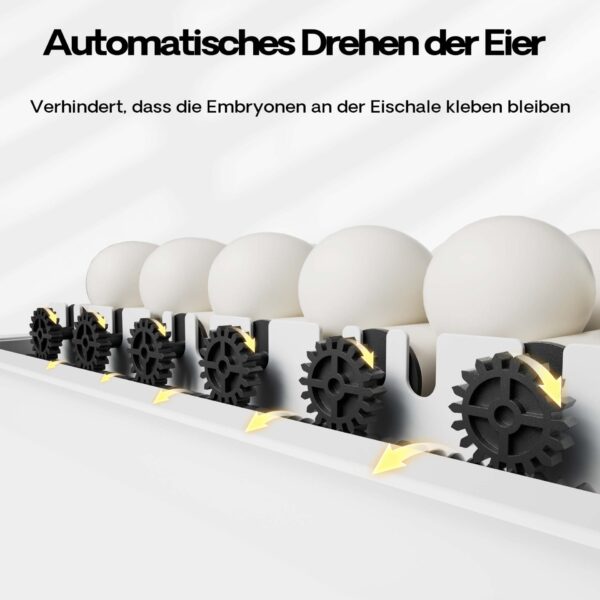 fb4af10a215045be916142c320729ed4_1920x1920