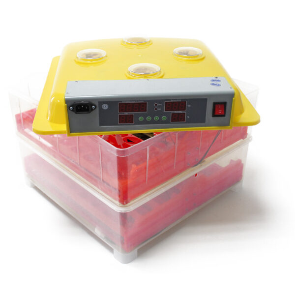 fbec8ce40323972d7dfa9638848500bdd3d1cbda_51273_1_gal