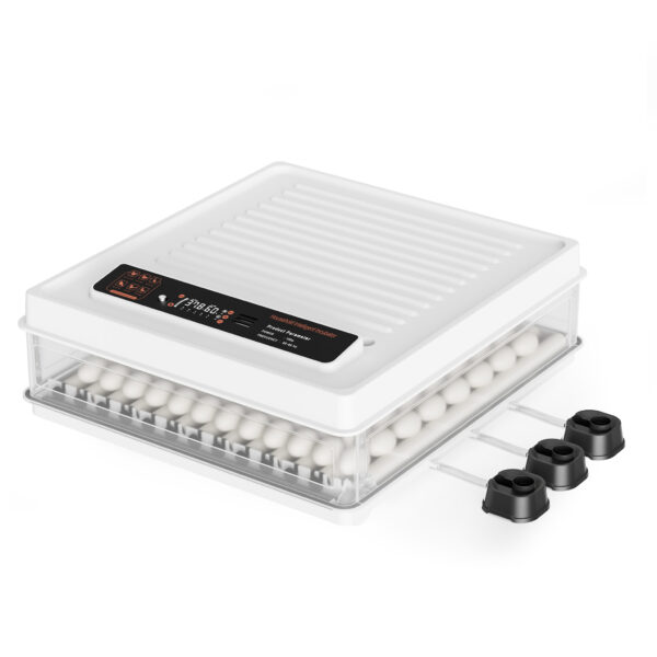 fc77e04661054e72a0d467d595e7f319