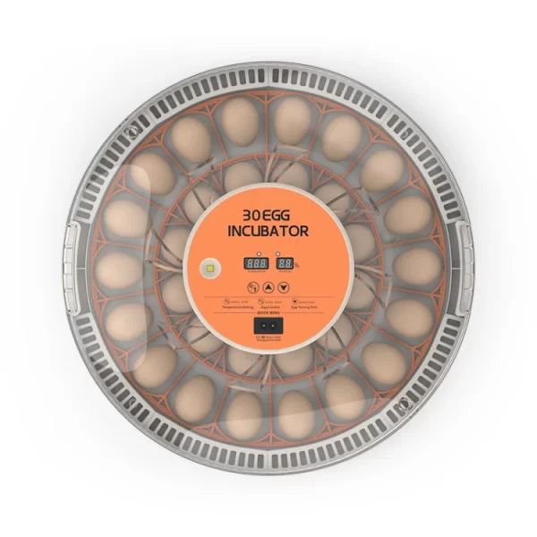 H41d9ac8bdbb54766a2ab2e89e00dc176s-750x750 Automatická líheň 30H pro 30 vajec
