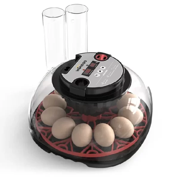 Kreslicí plátno 4 kopie-750x750 Plně automatická líheň M12H pro 12 vajec